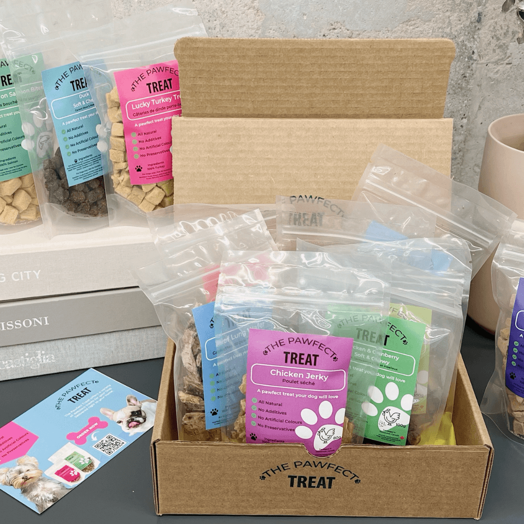 Dog goody box clearance